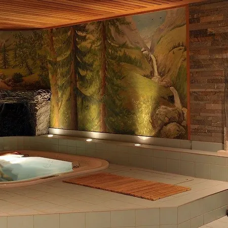 Hotel D'adrien Verbier
